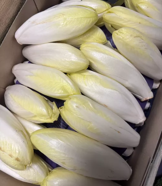 Endives