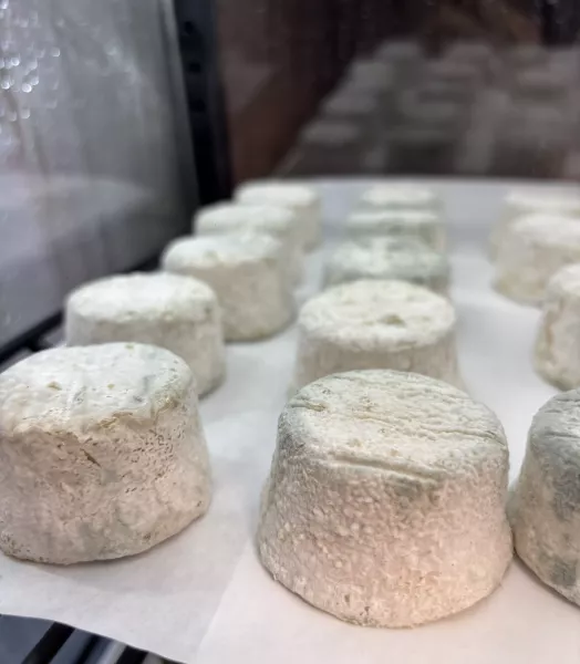 Fromage de chèvre SEC