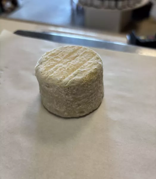 Fromage de chèvre DEMI SEC